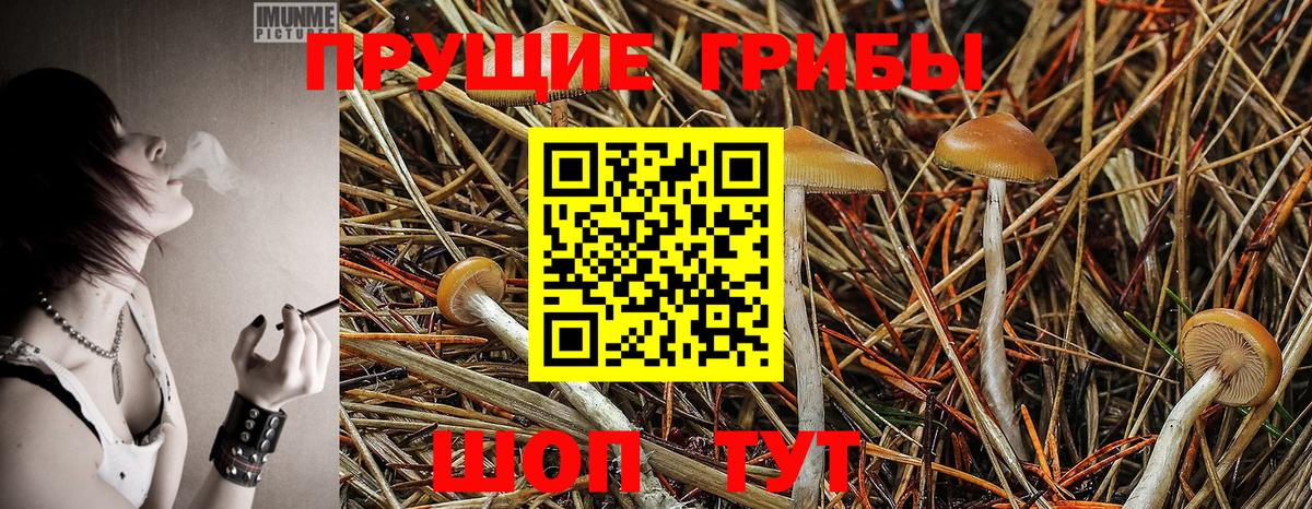 Галлюциногенные грибы MAGIC MUSHROOMS Юрга