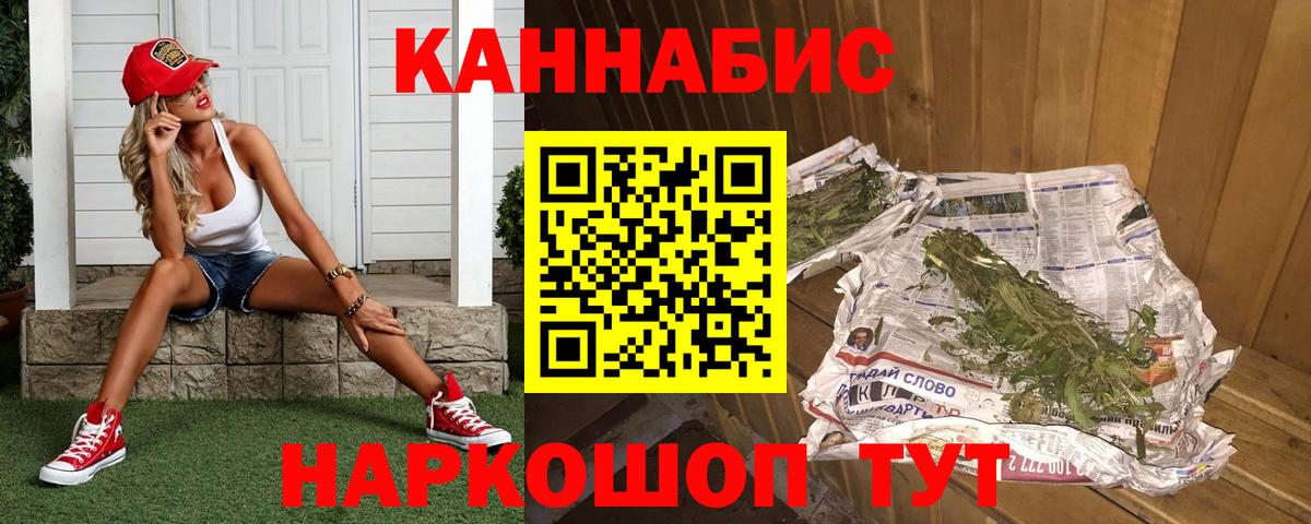 Конопля сатива Юрга